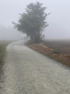 El Camino aparece nítido entre la niebla